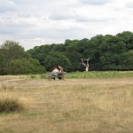 Hampstead Heath Date