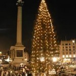 trafalga cmas tree