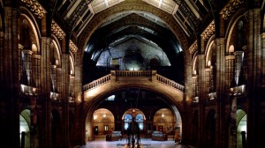 natural history museum